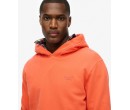 SUPERDRY Sweat à capuche et à logo Essential sur cosmo-lepuy.fr