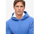 SUPERDRY Sweat à capuche et à logo Essential sur cosmo-lepuy.fr