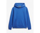 SUPERDRY Sweat à capuche et à logo Essential sur cosmo-lepuy.fr